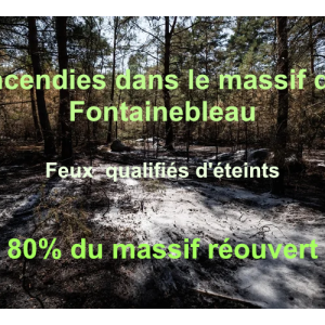 https://www.boissettes.fr/sites/boissettes.fr/files/styles/300x300/public/media/images/feux-de-fontainebleau-eteints.png?itok=kLwWLurV