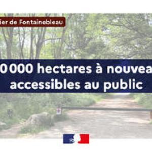 https://www.boissettes.fr/sites/boissettes.fr/files/styles/300x300/public/media/images/fontainebleau-20-000-hectares-a-nouveau-accessibles_large.jpg?itok=_scWGJEE