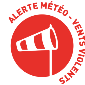 https://www.boissettes.fr/sites/boissettes.fr/files/styles/300x300/public/media/images/logo_vents-violents.png?itok=ZOzn-uws