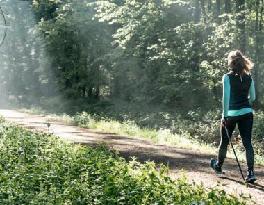 Personne qui marche en forêt