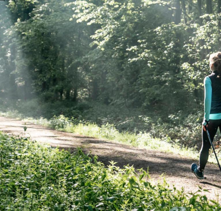 Personne qui marche en forêt